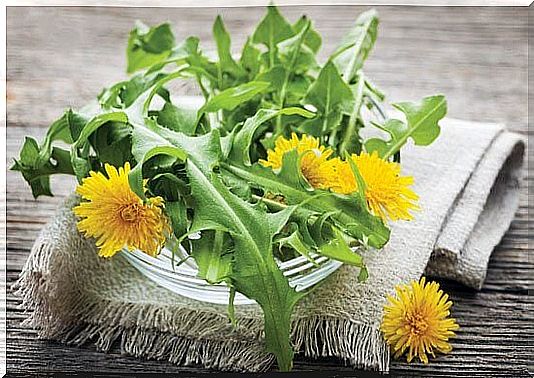 Dandelion to prevent stains.