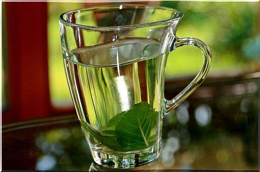 basil tea for fever