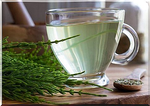 horsetail tea to fight kidney stones