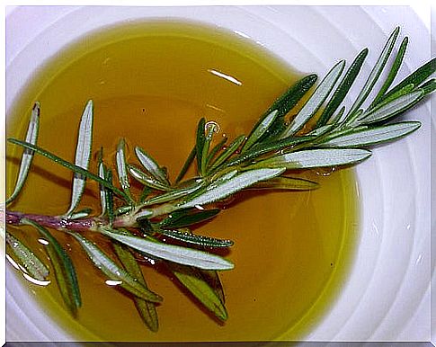 Rosemary against slow metabolism.