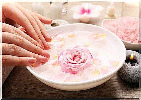 rose facial toners