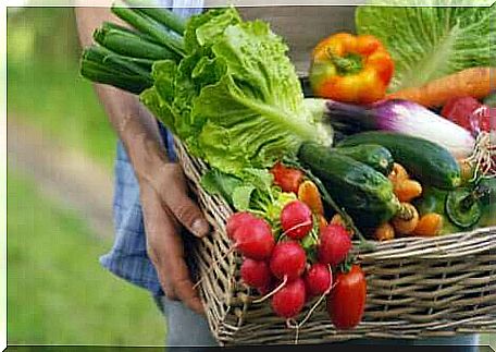 A basket of vegetables.