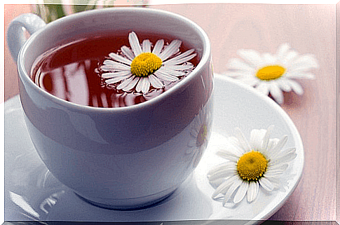 Chamomile against amenorrhea.