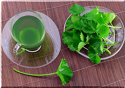 Parsley against amenorrhea.