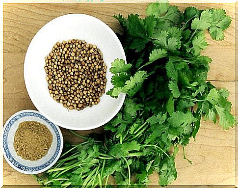 cure indigestion with cilantro