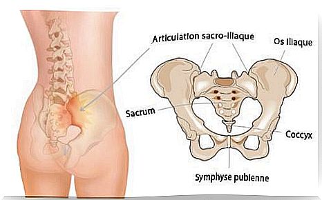 A diagram of the sacroiliac joint