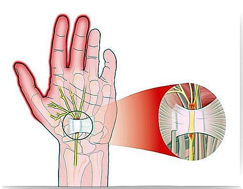 The metacarpal tunnel of the hand