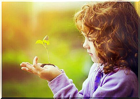 a little girl watches a plant grow 