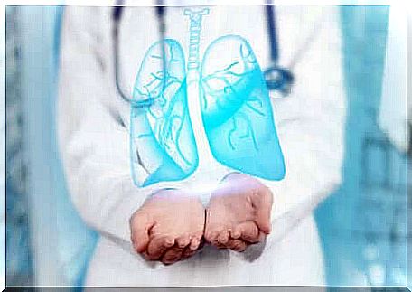 A doctor stretching out his hands and supporting 3D lungs. 